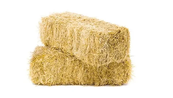 Hay fever