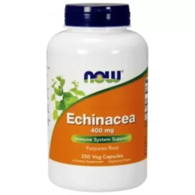Echinacea 400mg 250caps (Now)