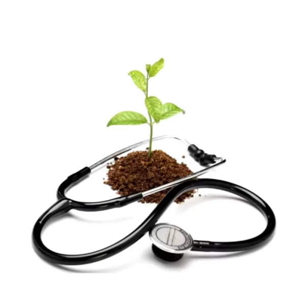 Our qualified naturopath, Jean Monro, will create a treatment plan for you that will cover everything from investigating underlying causes, all the way through to lifestyle choices for lasting health.